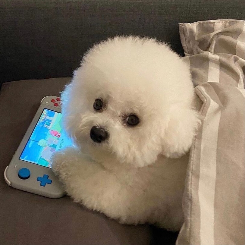 这就是街舞好不好看
